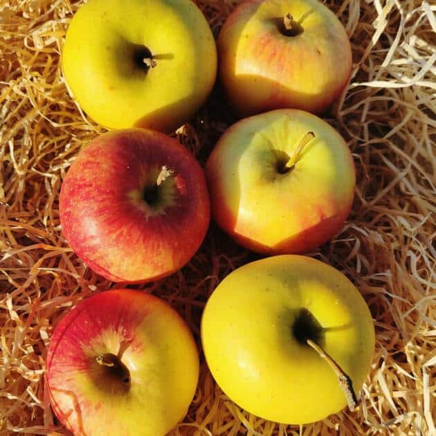 Farm photo 14