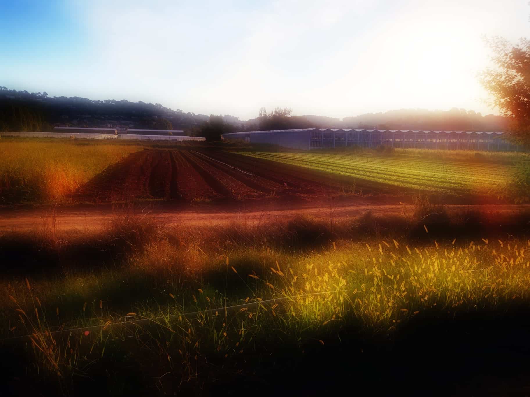 Farm photo 3