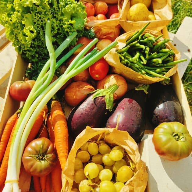 Harvest Every 3 Months