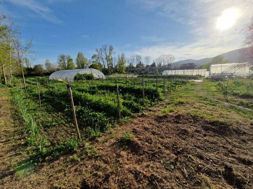 Farm photo 10