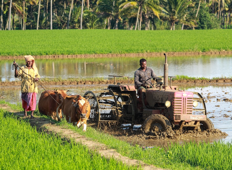 Farm photo 12